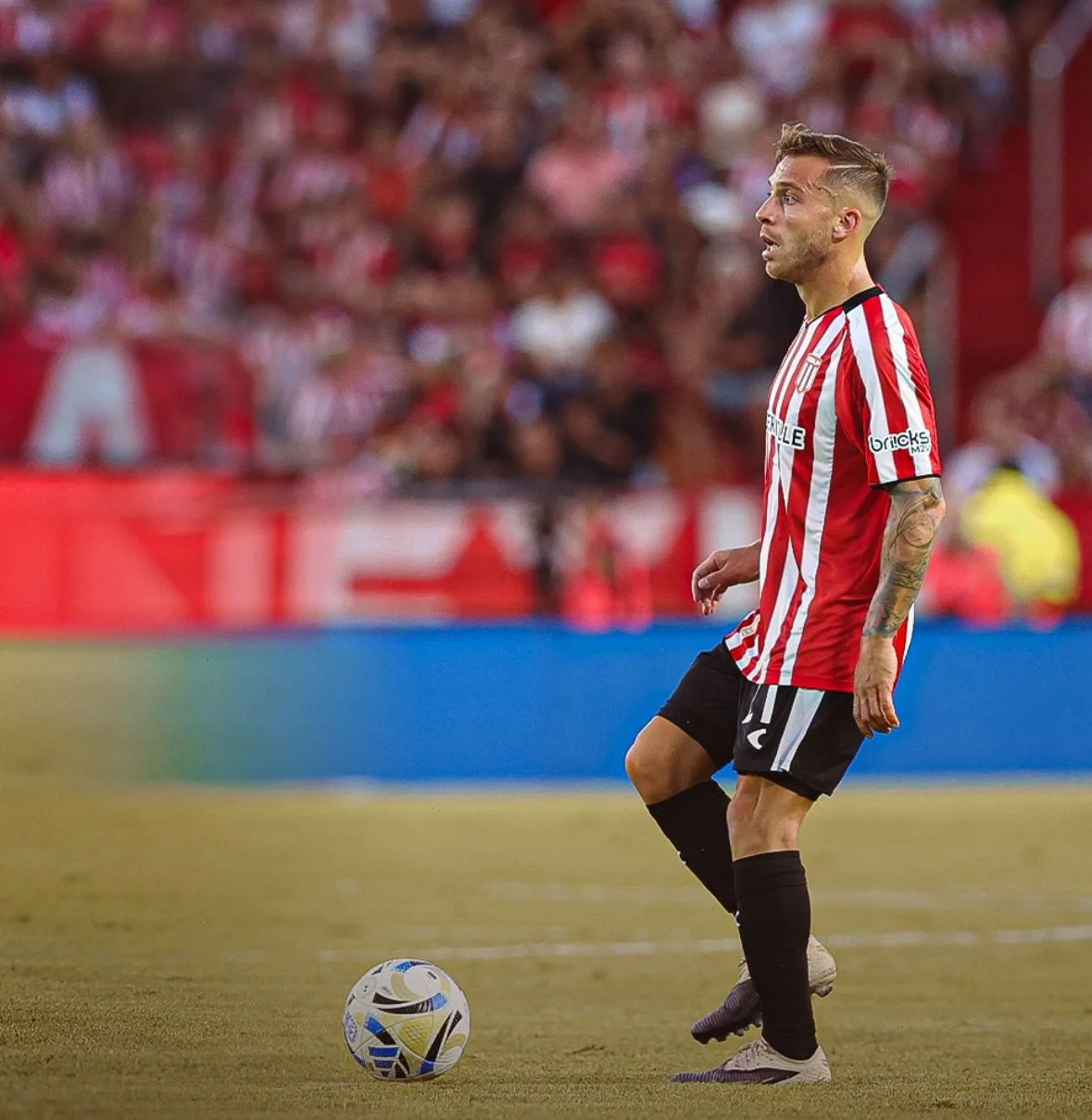 WhatsApp Image 2026-03-03 at 2.11.44 PM